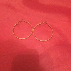 Rose Gold Hoop Earrings